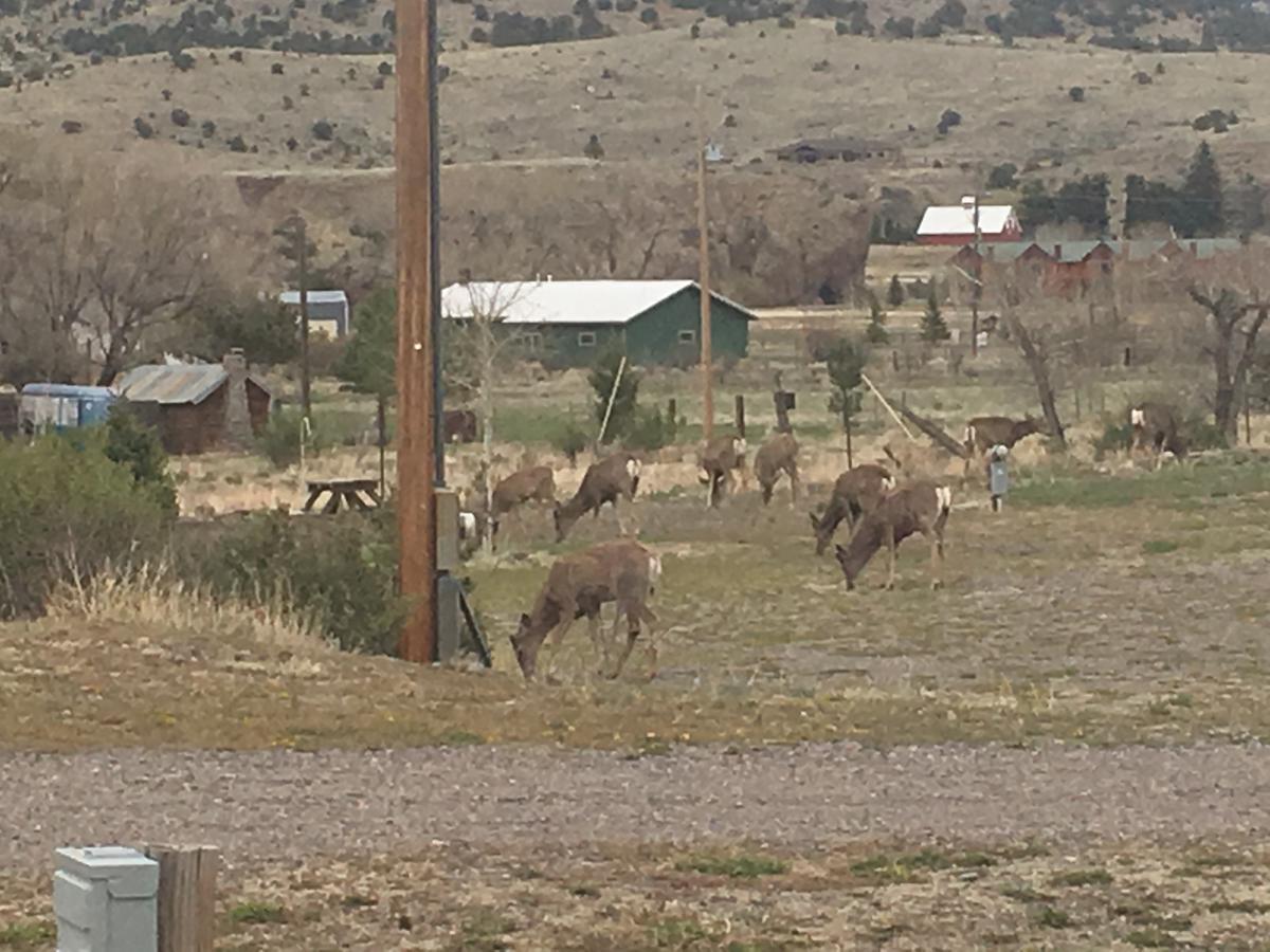 South Fork Lodge & Rv Park Colorado Екстер'єр фото